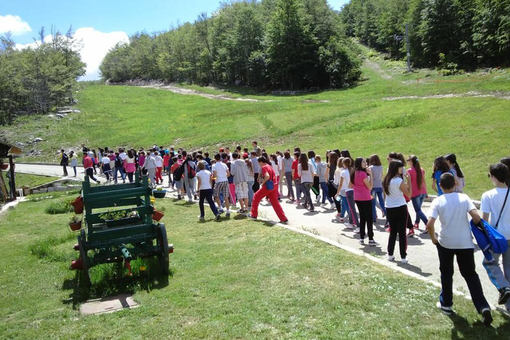 Green Trebjesa Apartment Nikšić Kültér fotó